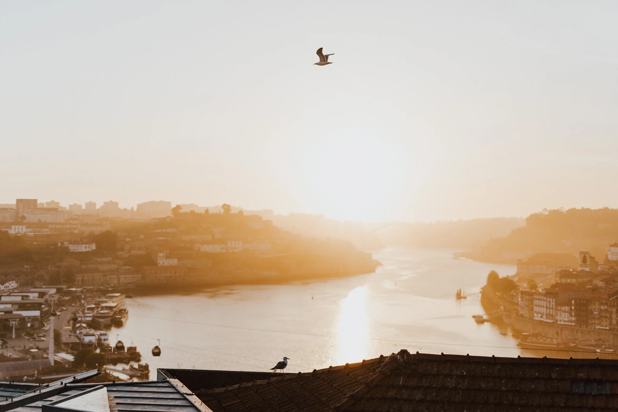porto-blog-aaronsami-55.jpg