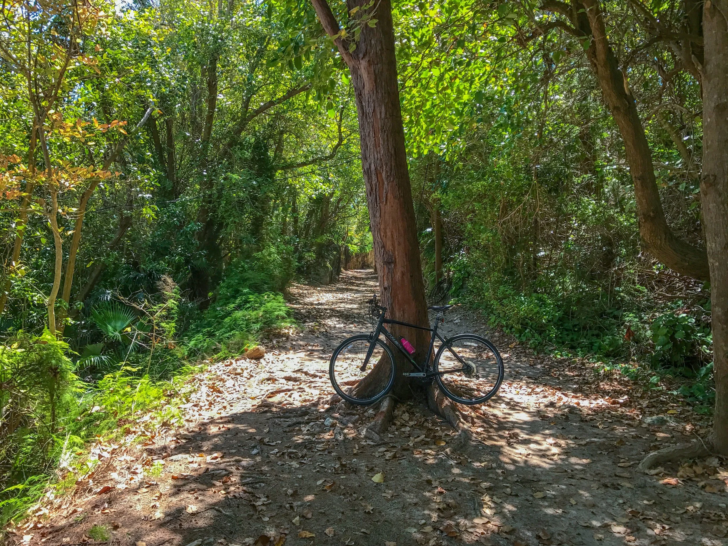 Biking Bermuda's Railway Trail