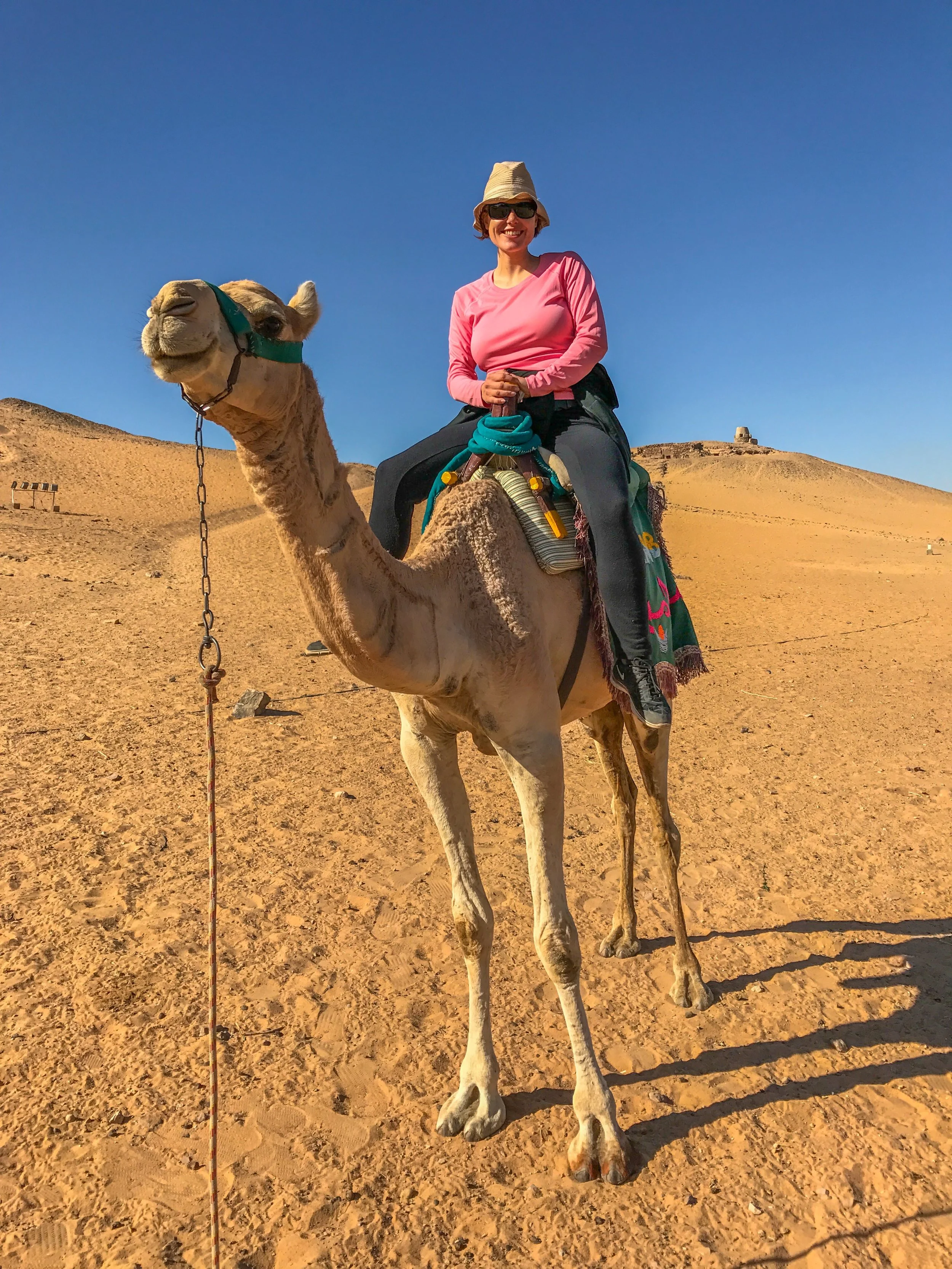 The camel that threw me into the Sahara