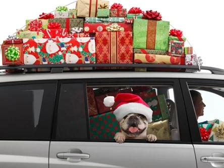 holiday travel packing