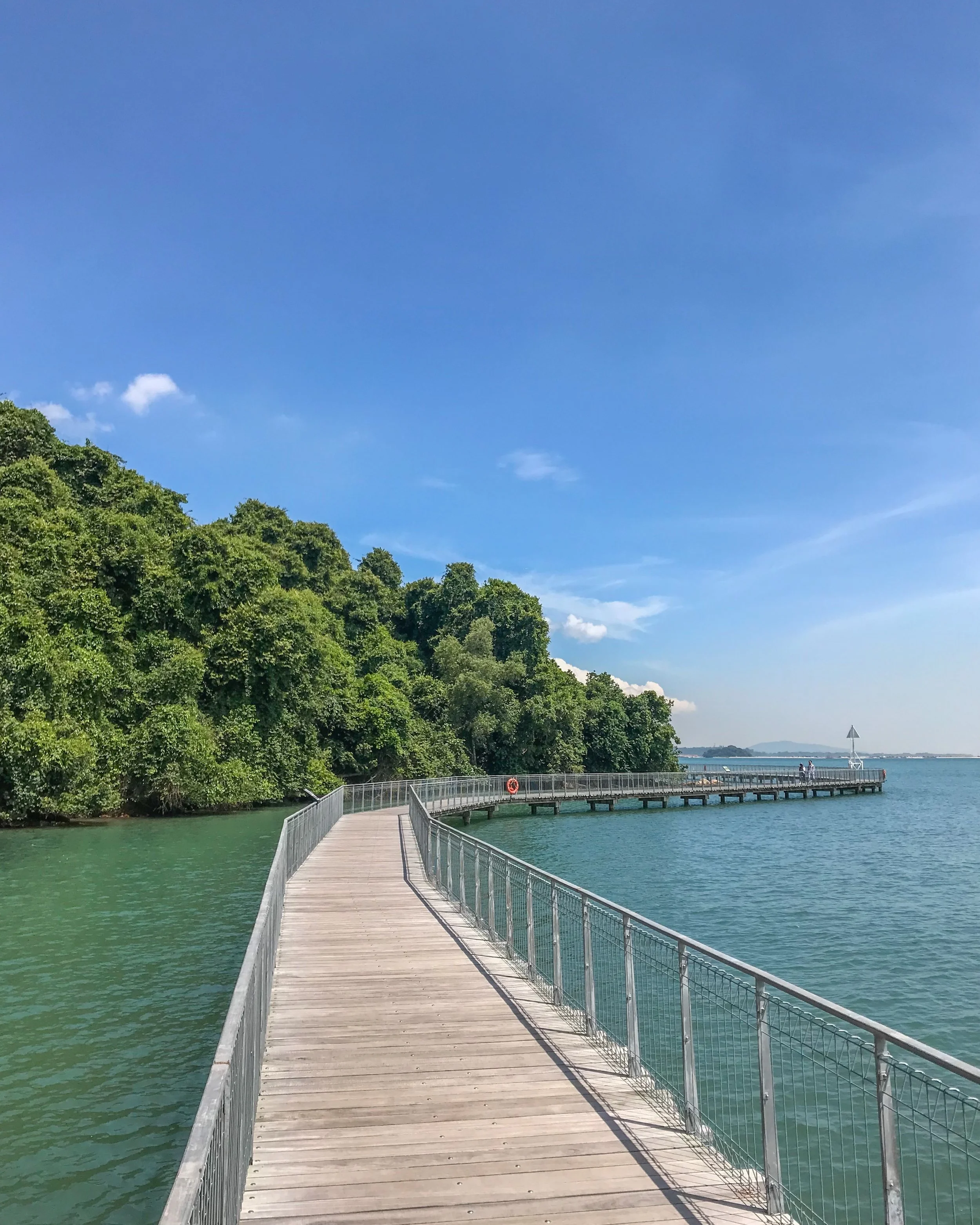 Pulau Ubin's kilometer-long boardwalk