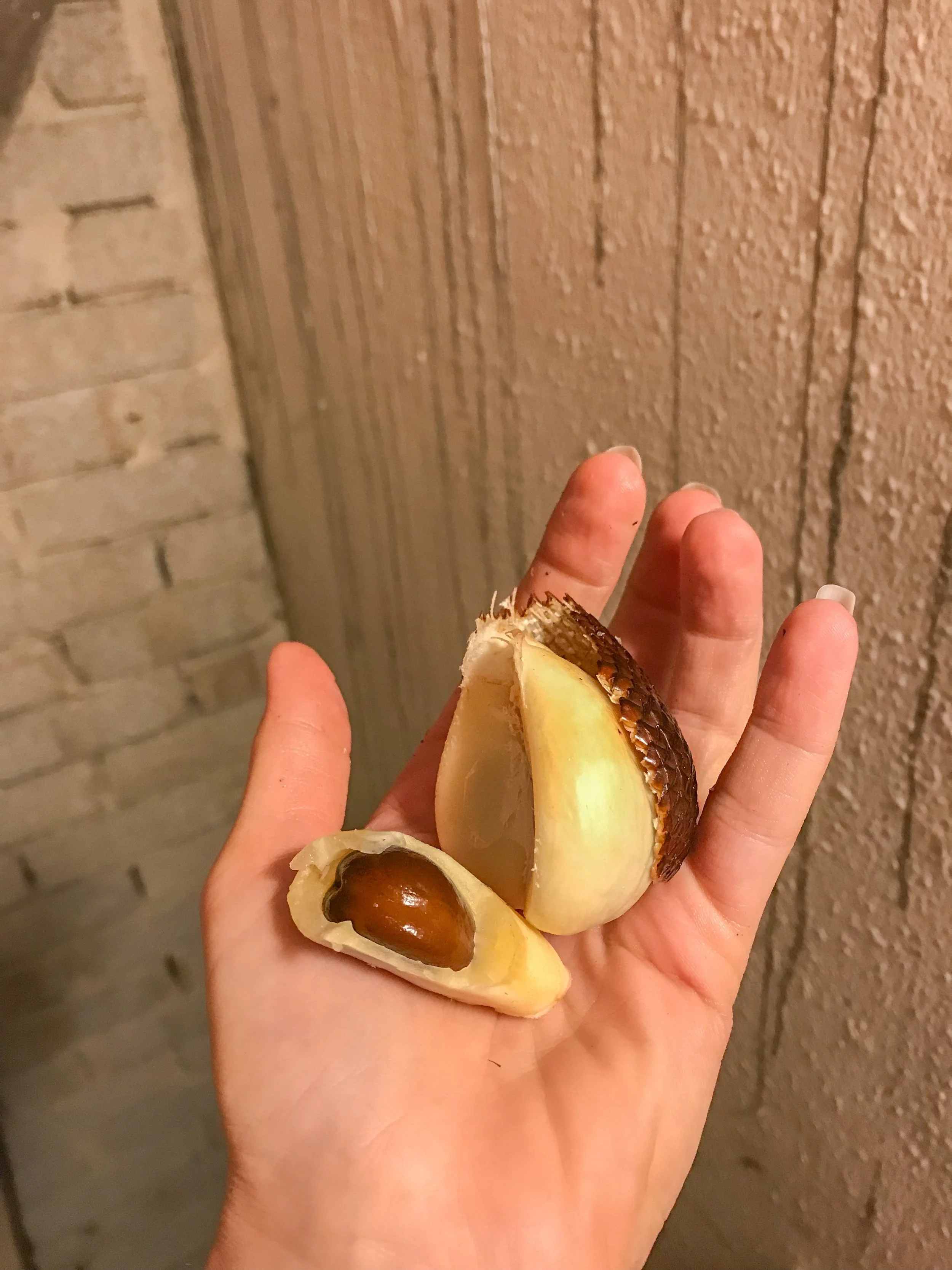 Snake fruit flesh