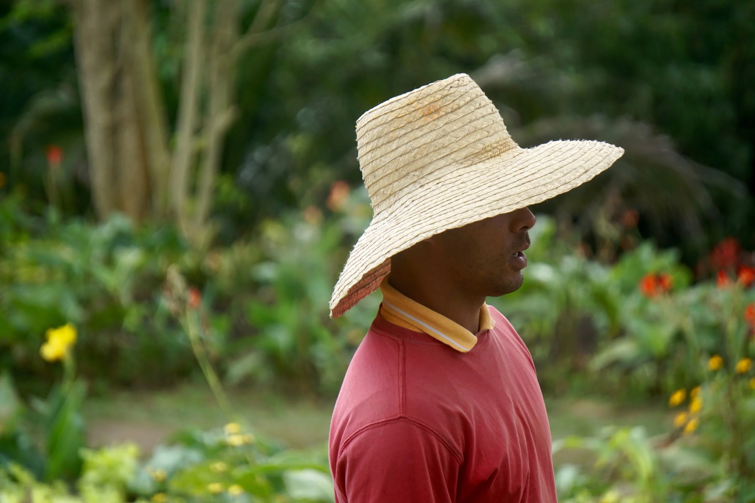 Organic farming continues to be the norm in Cuba