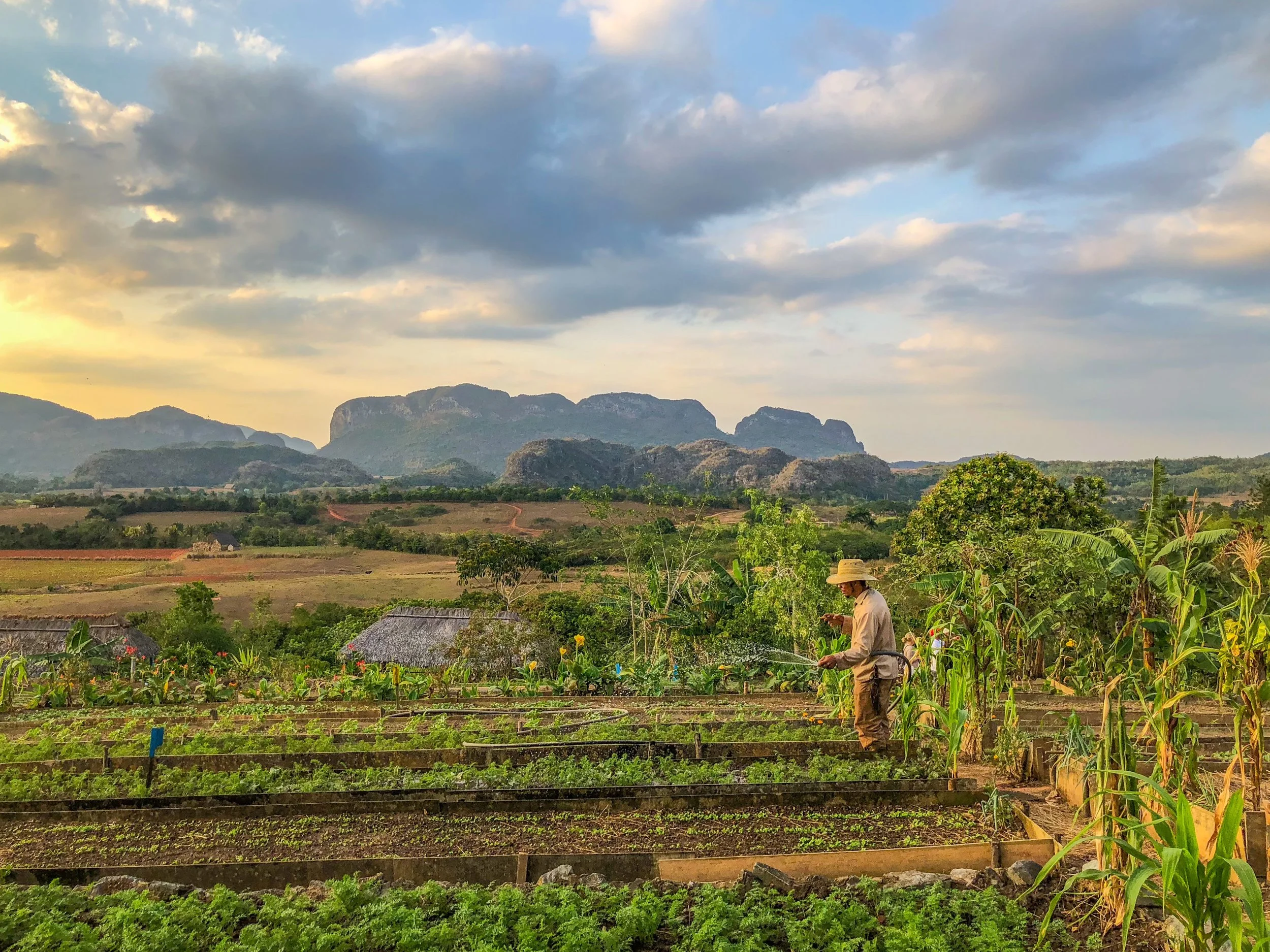 Take a break from WiFi and enjoy Cuba’s beauty