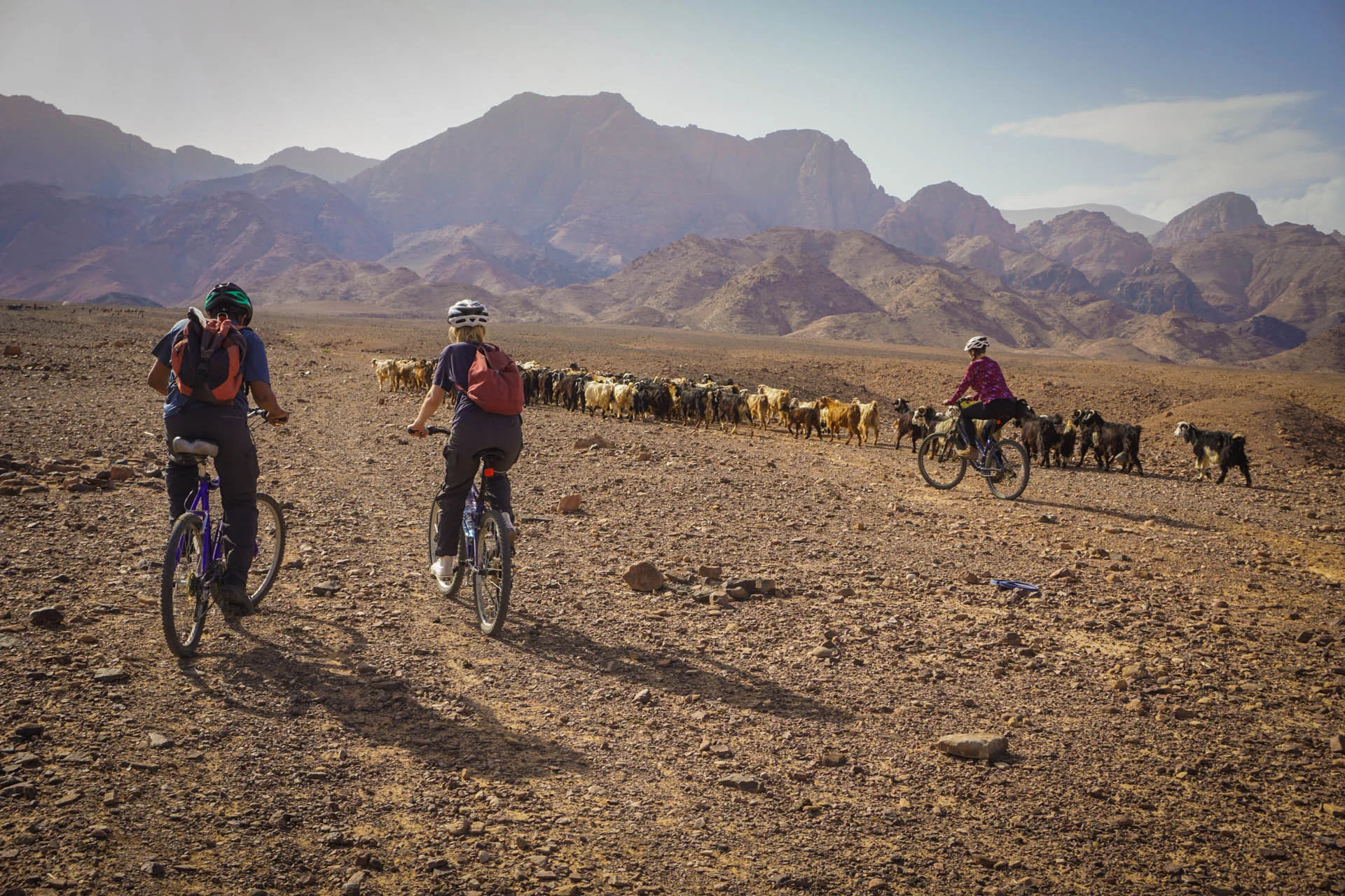 Jordan has something for everyone, including off-road cycling with goats!
