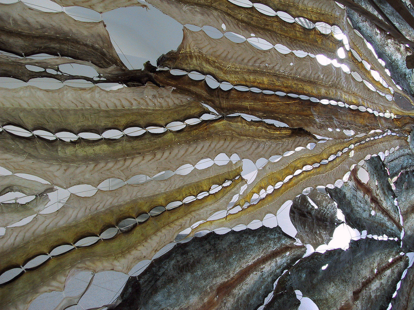   Andaman Sea, &nbsp;detail 