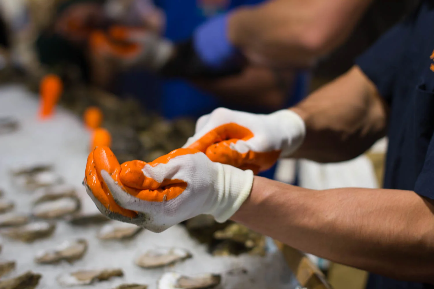 A worker shucks oysters at Eataly's seafood counter. 