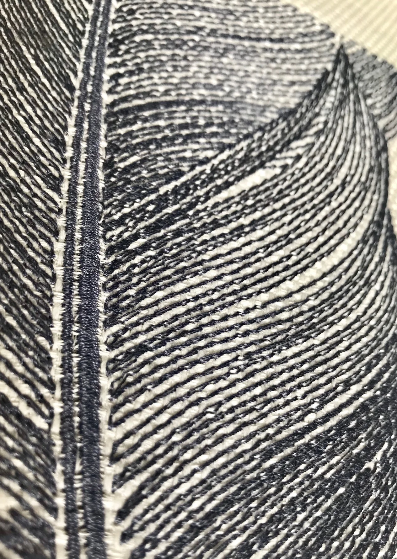 Gunold Feder Feather.jpg