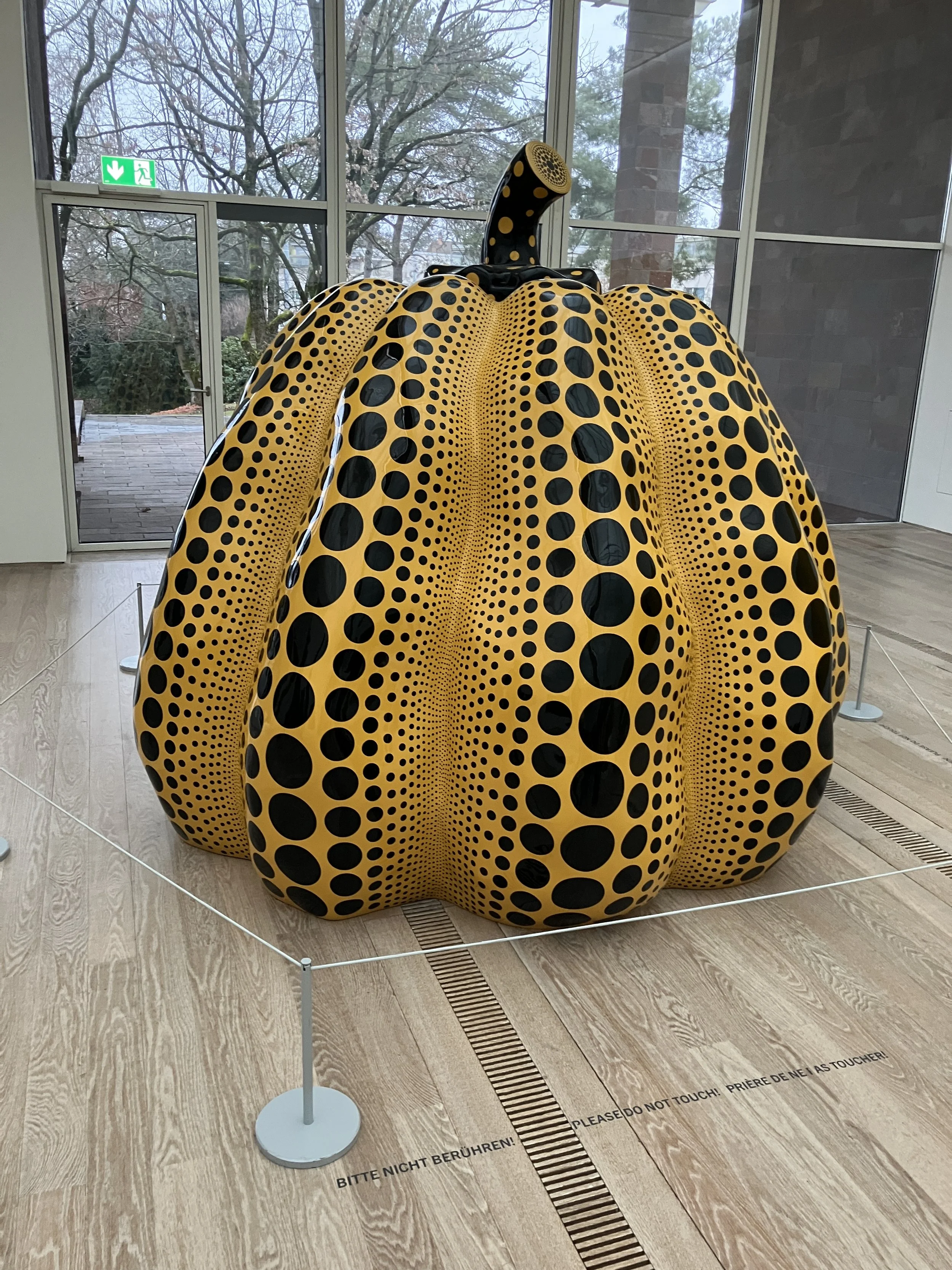 20260111_142728690_iOS.jpg