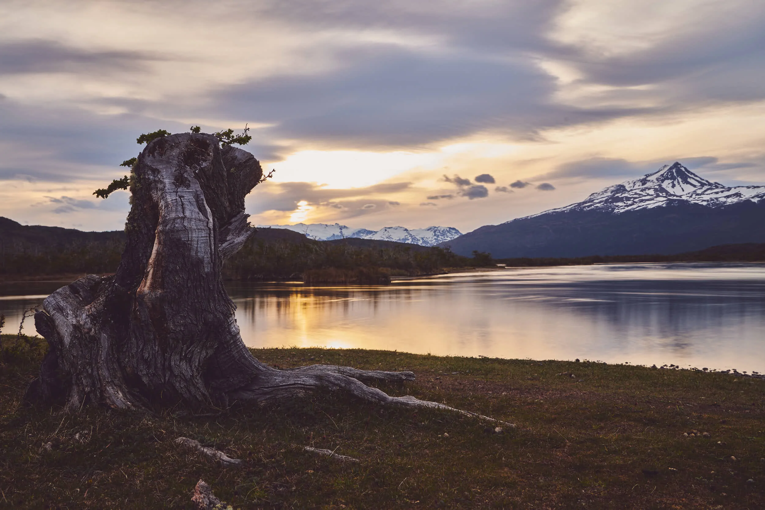 Avel_Chile_Photography_183.jpg