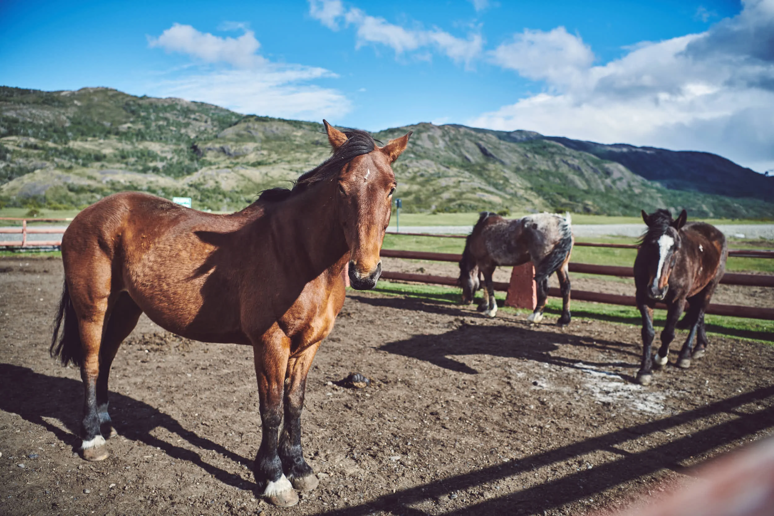 Avel_Chile_Photography_244.jpg