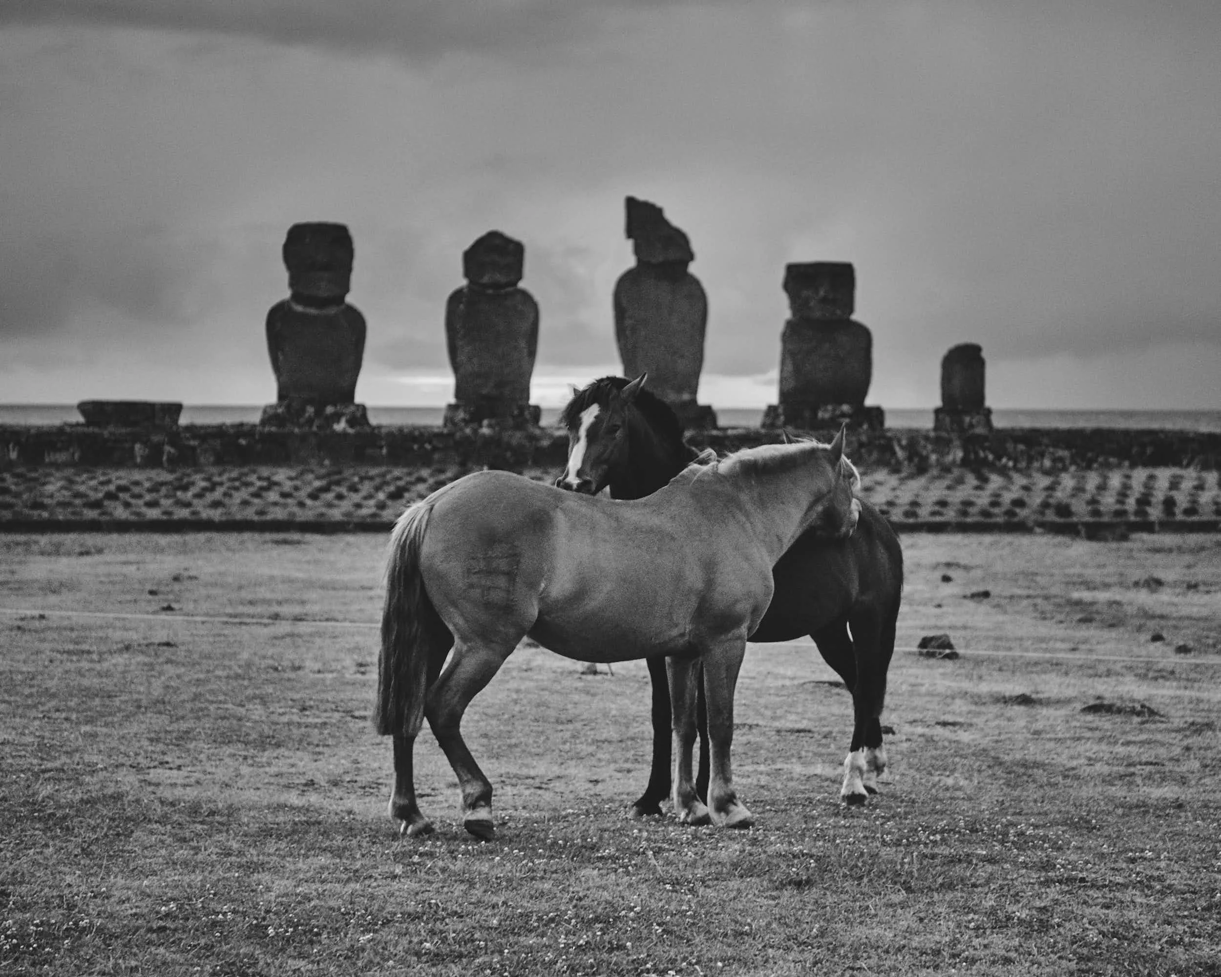 Avel_Chile_Photography_413.jpg