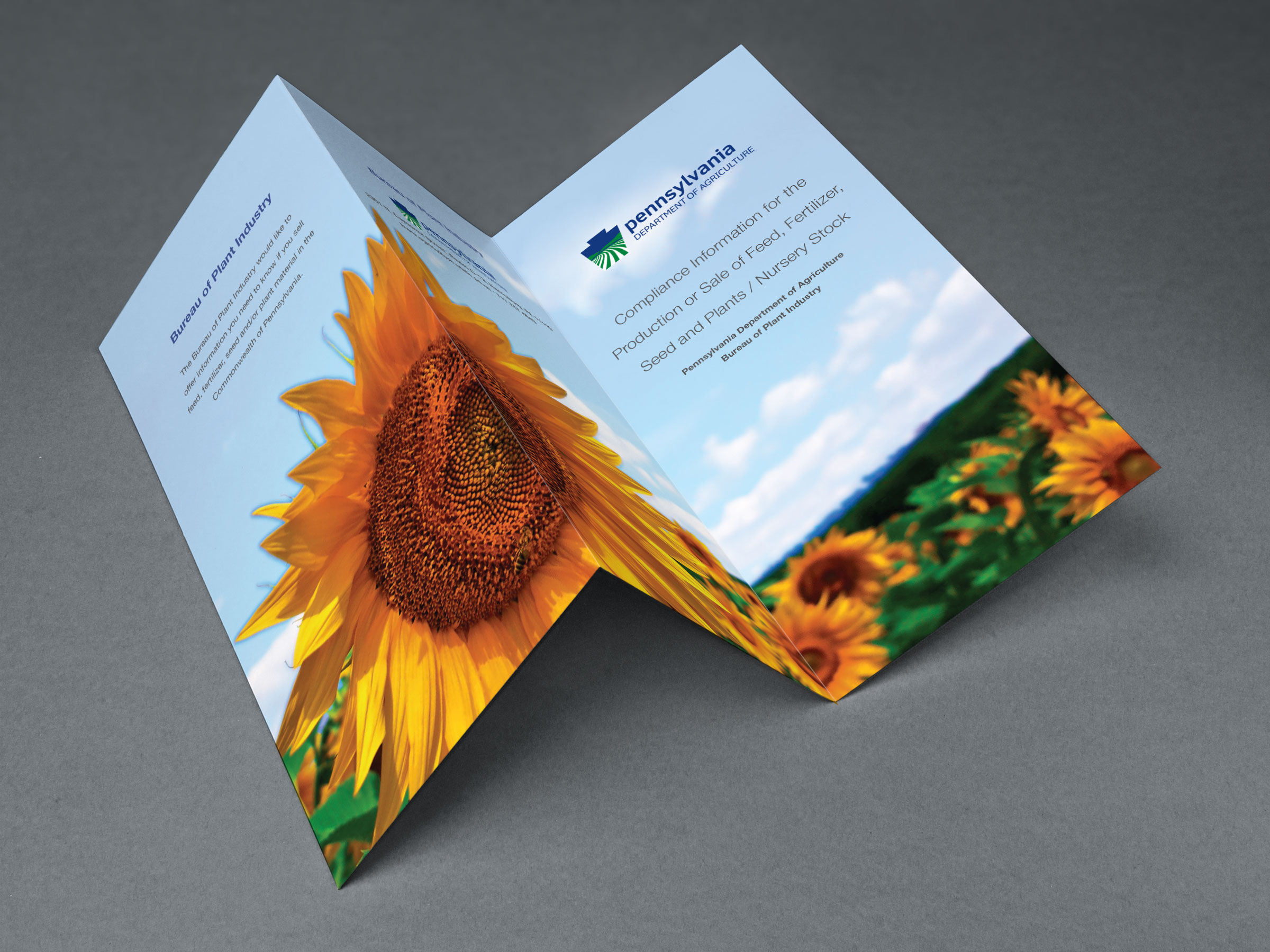 Tri-Fold-Brochure-MockUp.jpg