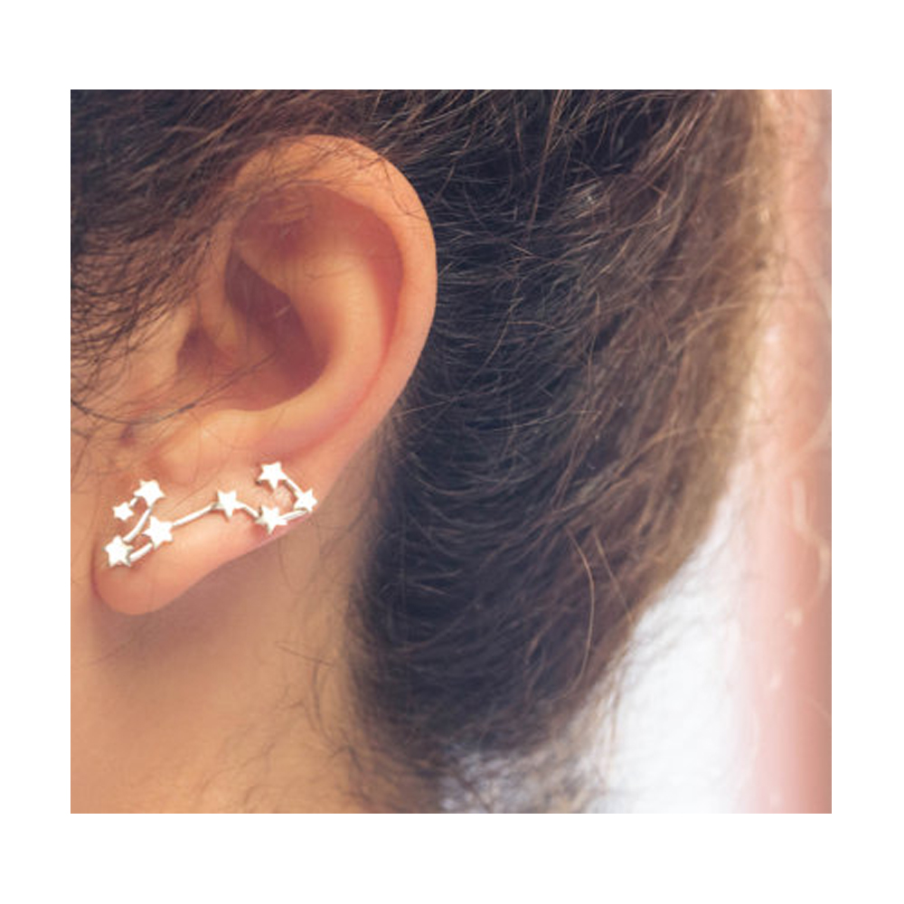 Pisces Constellation Earrings