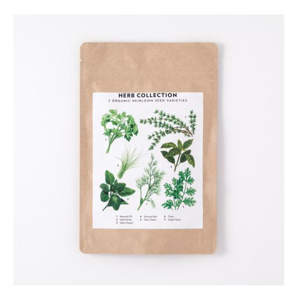 Culinary Herb Seed Collection With 11 organic herbs