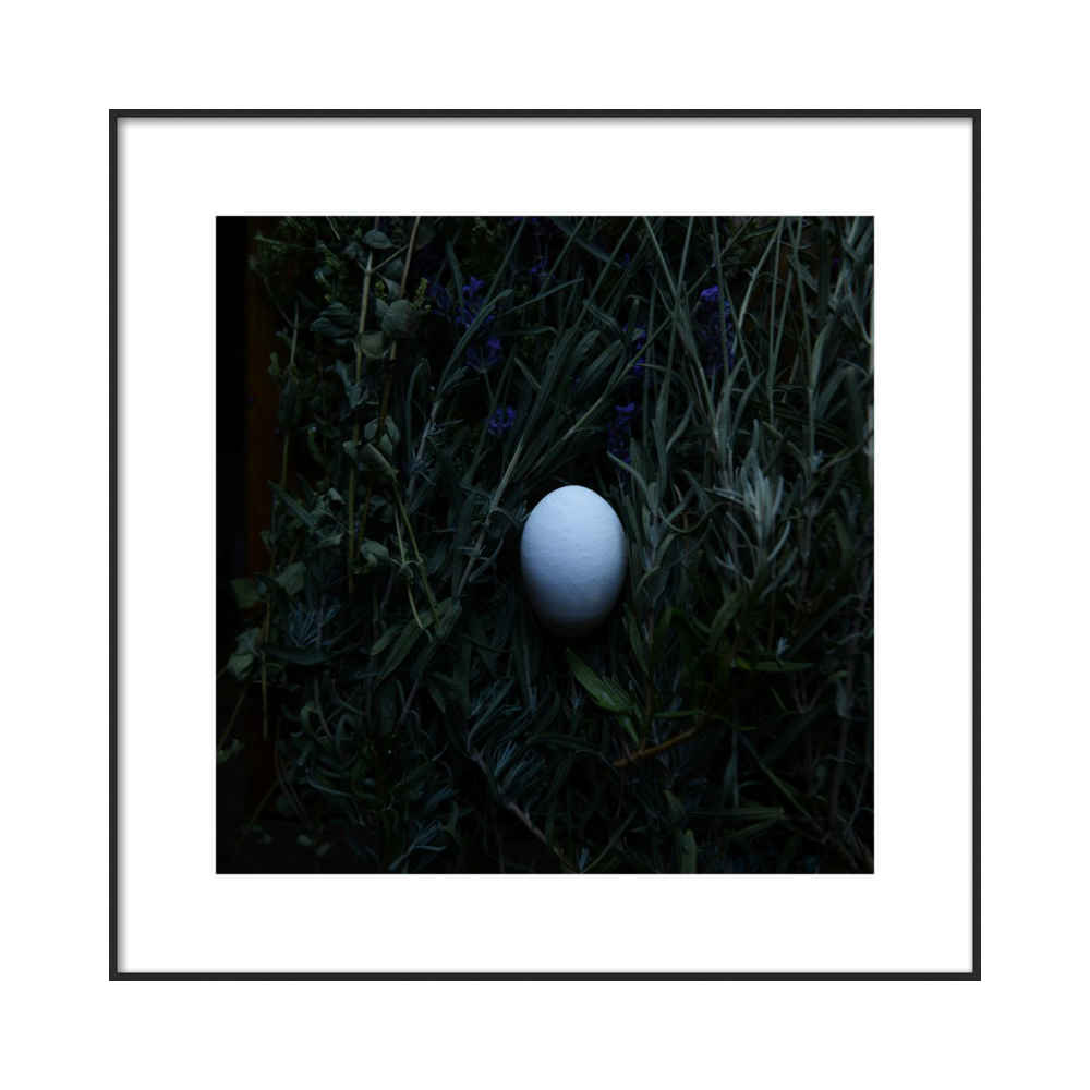 Egg and Lavender by Lucy Snowe