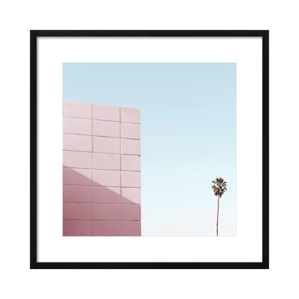 Pink Wall and Palm Tree in Palm Springs by Lucy Snowe