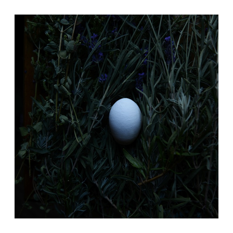 Egg and Lavender by Lucy Snowe