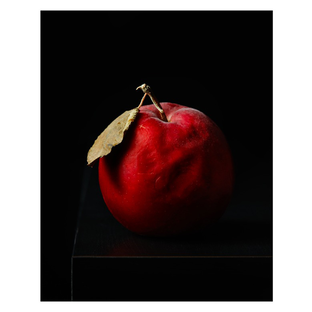 Aged Apple by Dustin Halleck