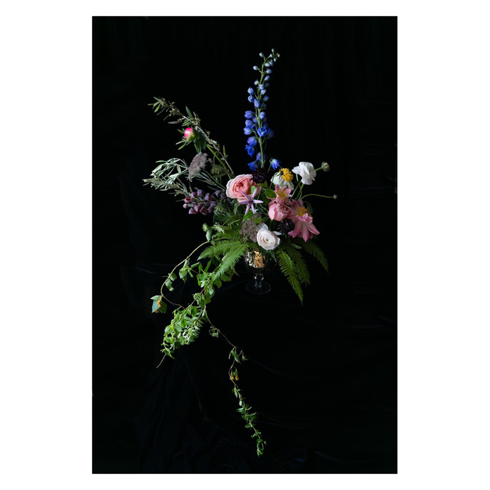 Dutch Master Inspired Floral Fine Art by Emilia Jane Schobeiri
