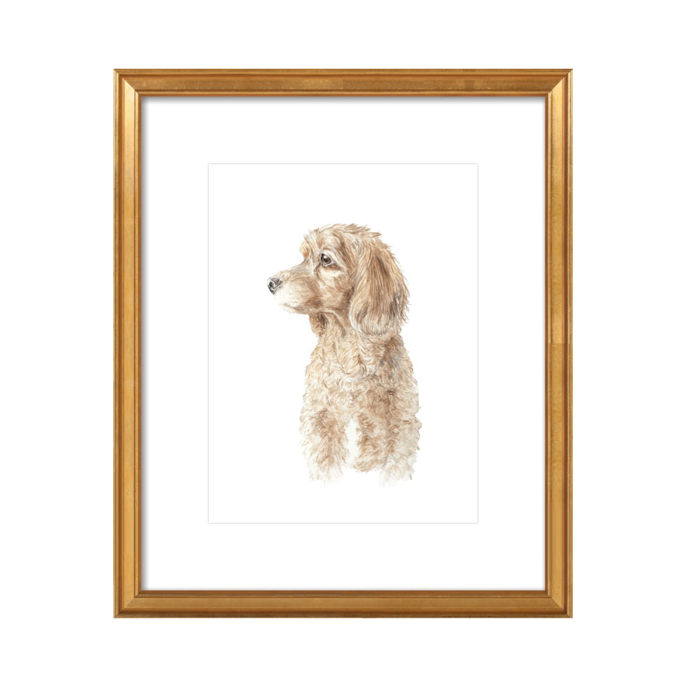 Cocker Spaniel Dog Pet Portrait Profile Watercolor by Lauren Rogoff