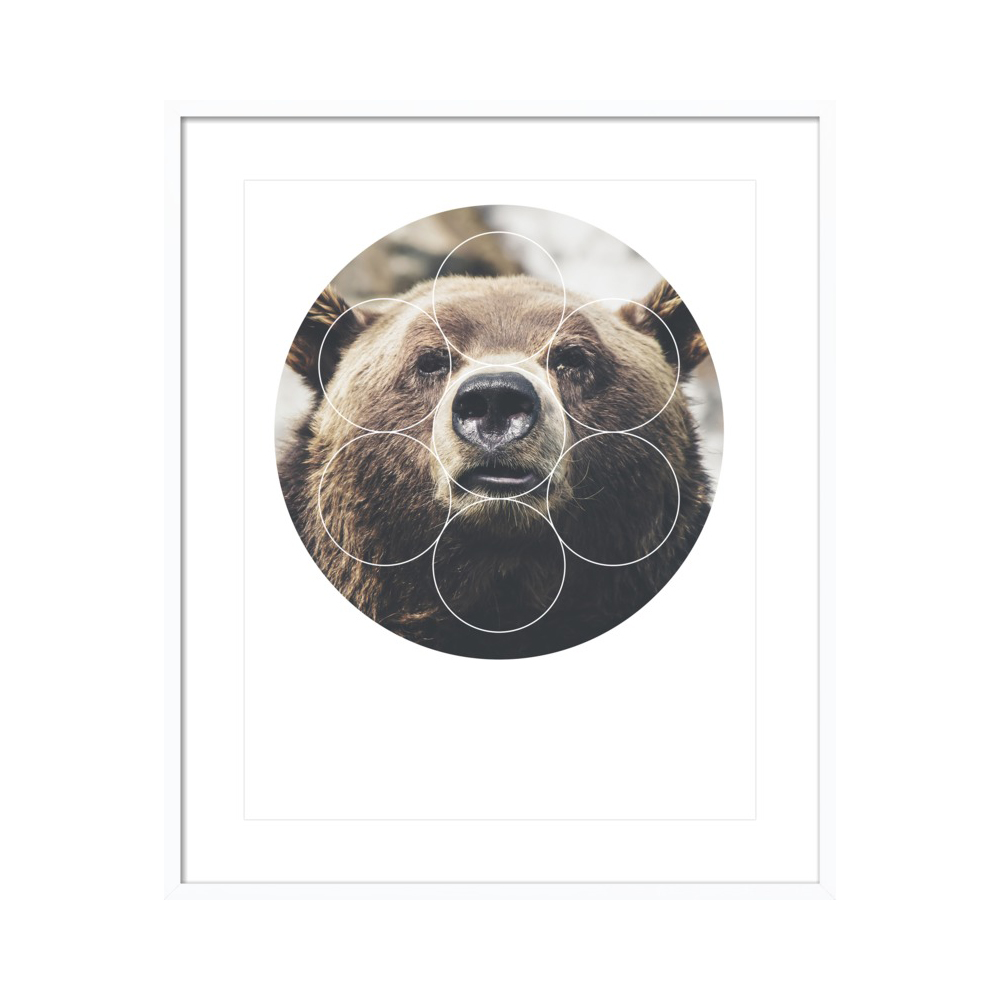 Big Bear Buddy - Geometric Photography by Emiliano Deificus
