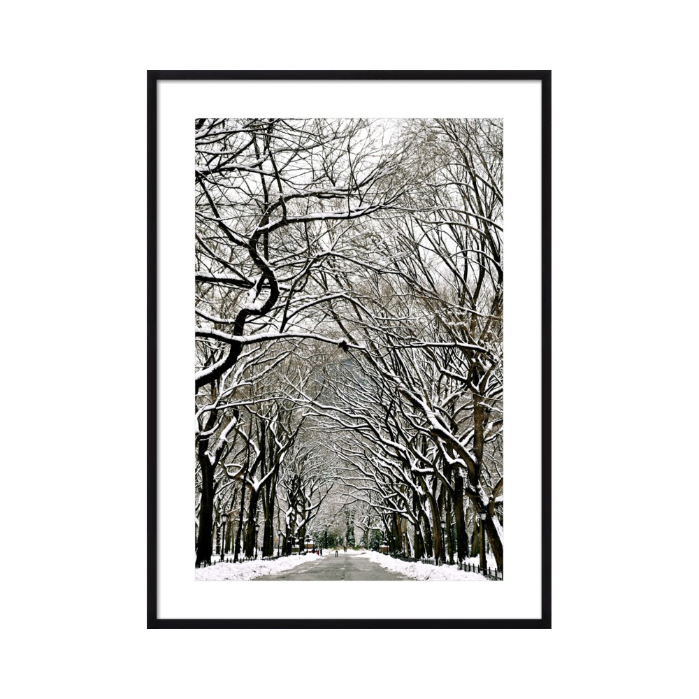 Central Park in Snow by Sivan Askayo