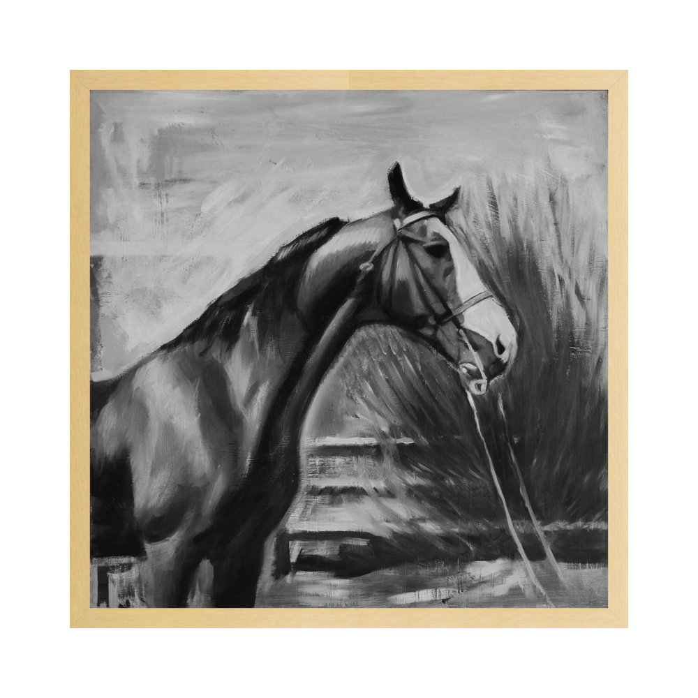 horse with fence (black and white)  BY MARY SINNER