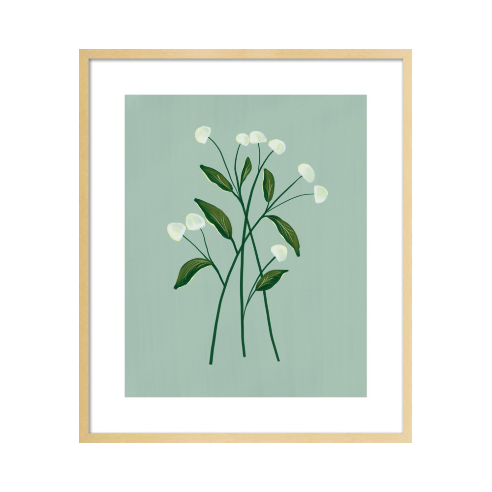 Botanical Illustration No. 1  BY NANCY NORETH