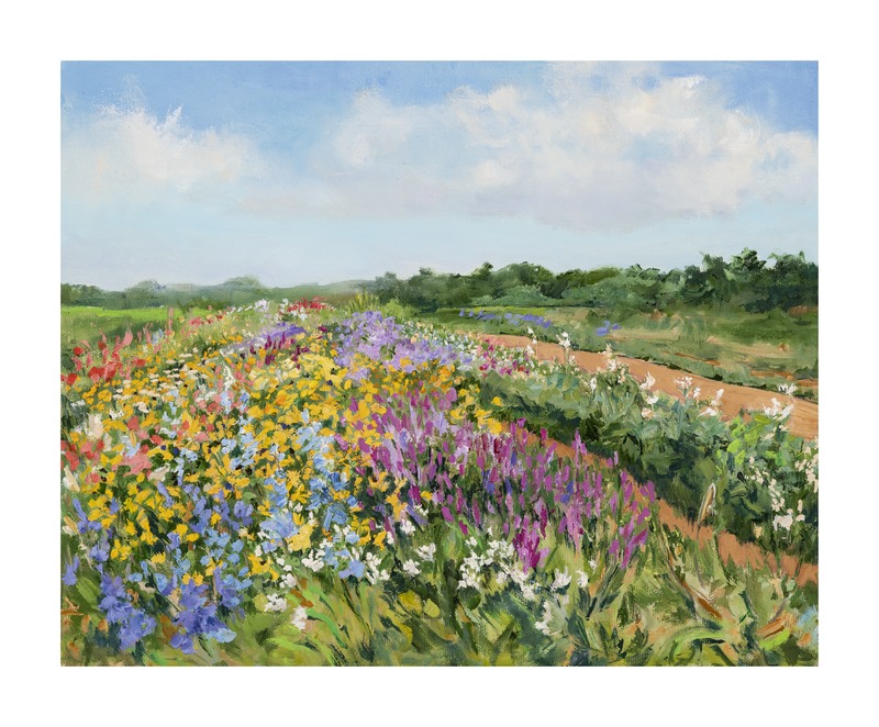 Balsam Farms Flower Field  BY CASEY CHALEM ANDERSON