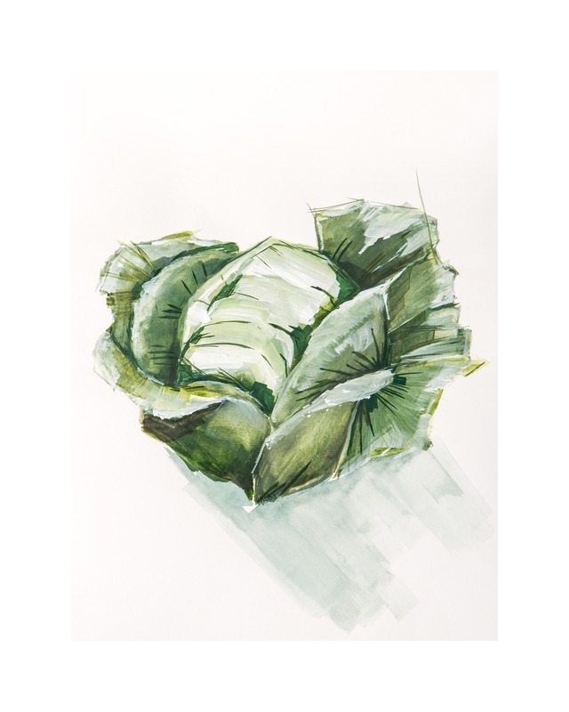cabbage still life  BY BECKY AUBRY