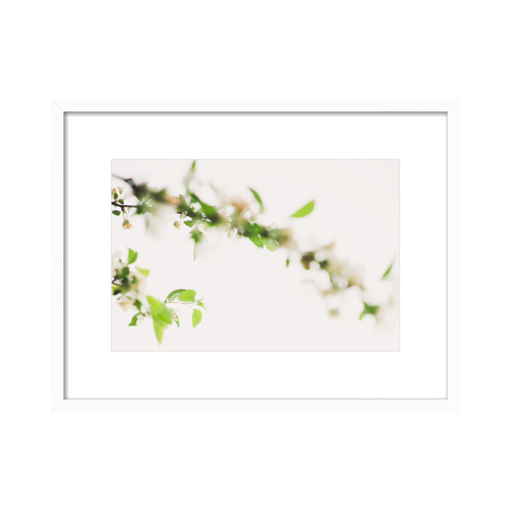 Soft Spring in White  BY MARIELLE SOLAN
