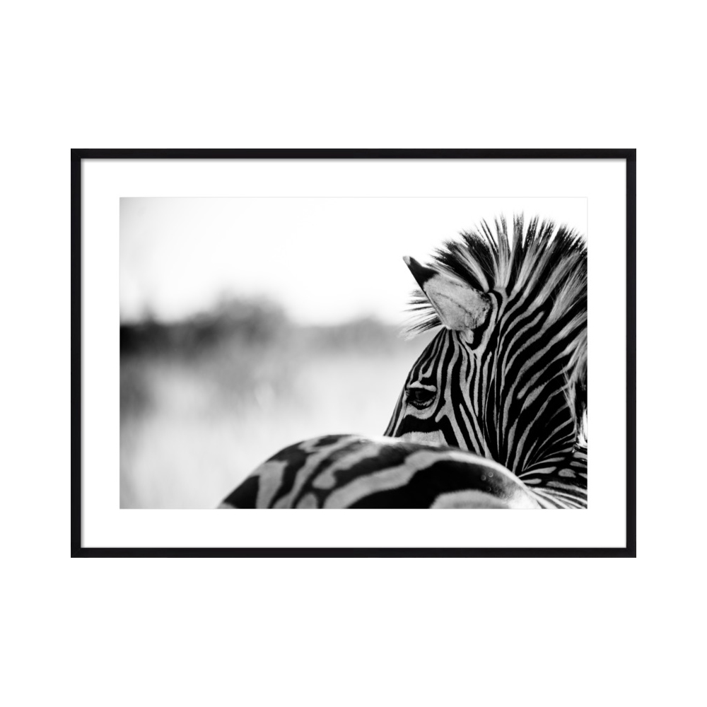 Abstract Zebra  BY BETH WOLD