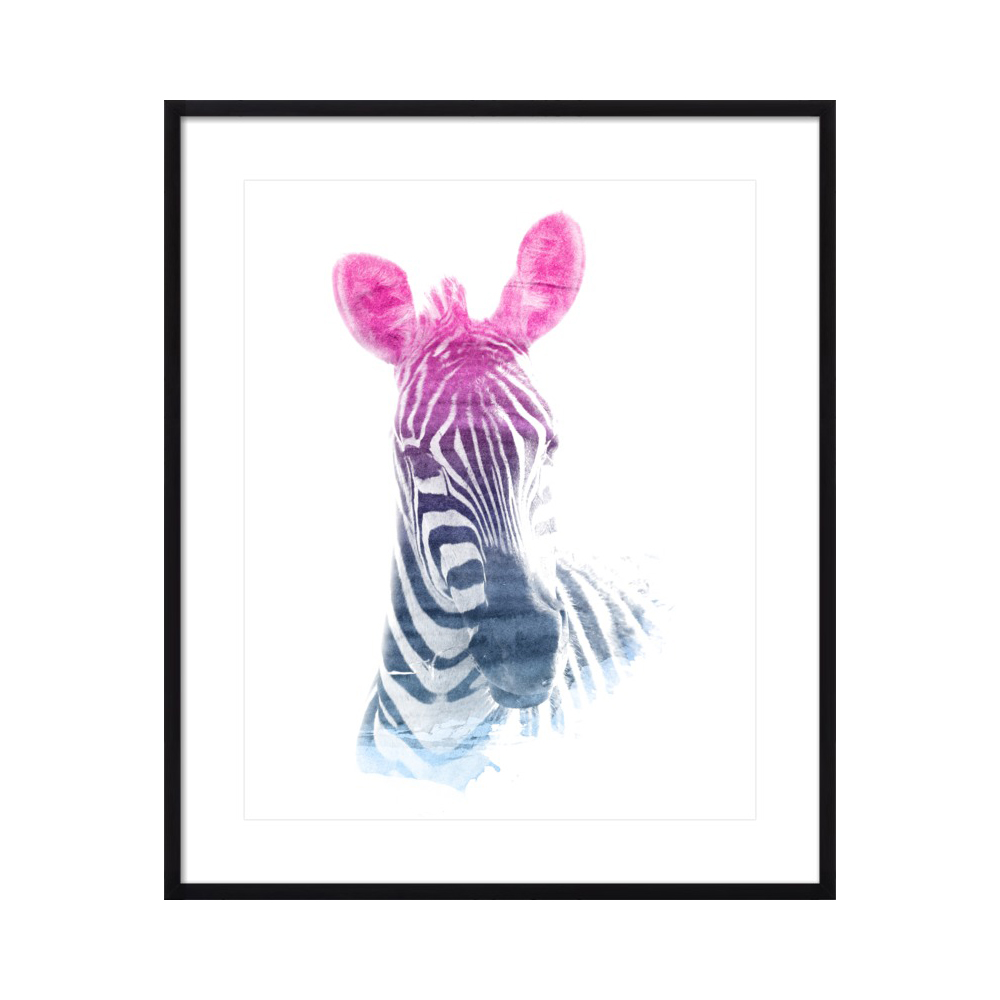 ZEBRA SUPERIMPOSED WATERCOLOR  BY EMILIANO DEIFICUS