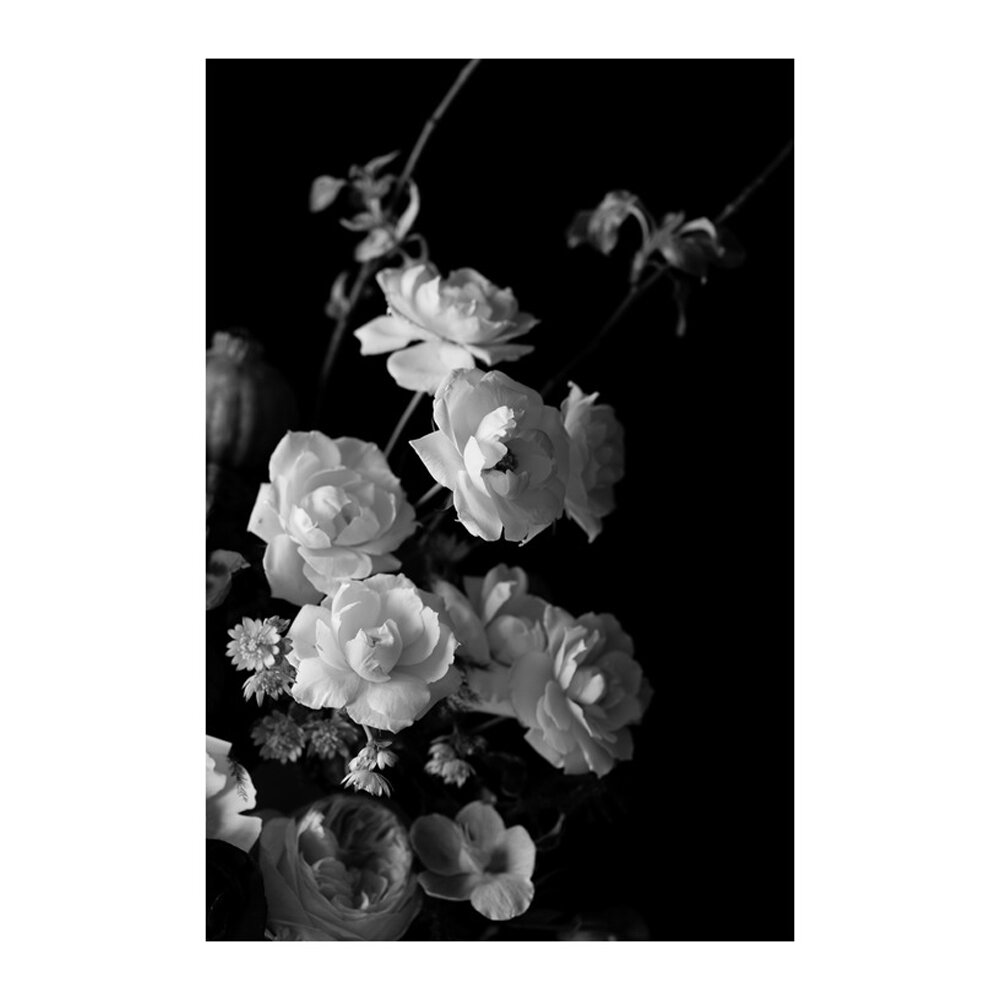 Black and White Floral  BY EMILIA JANE SCHOBEIRI