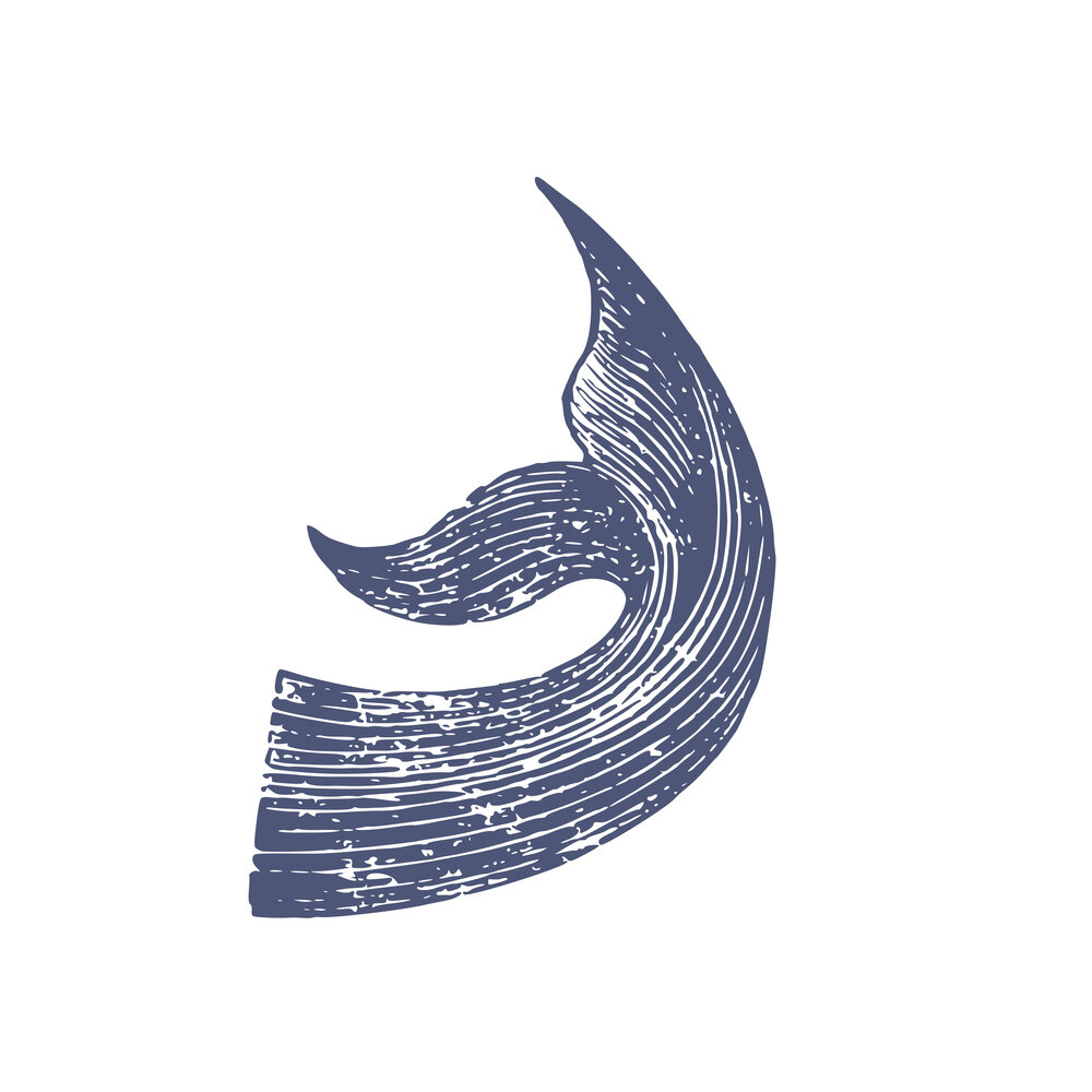 Whale Tail  BY VASILIKI TSONGAS