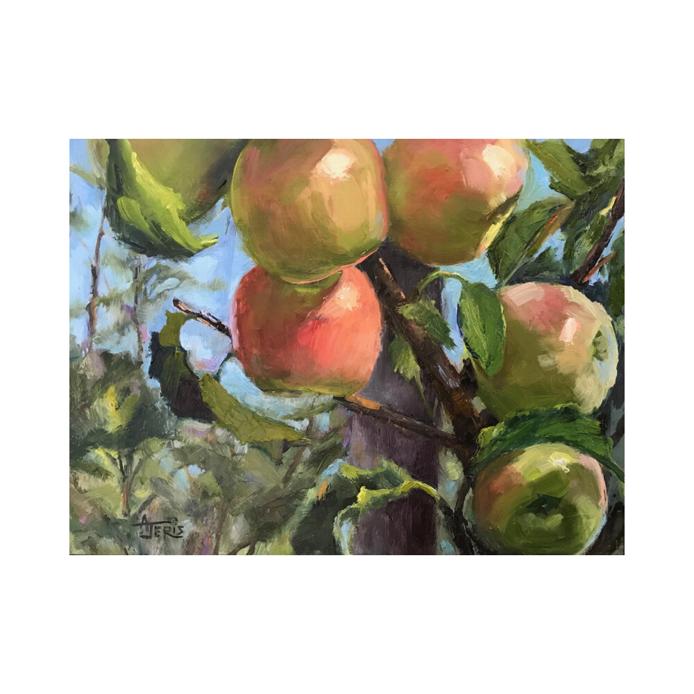 Orchard Apples  BY ANDREA JERIS