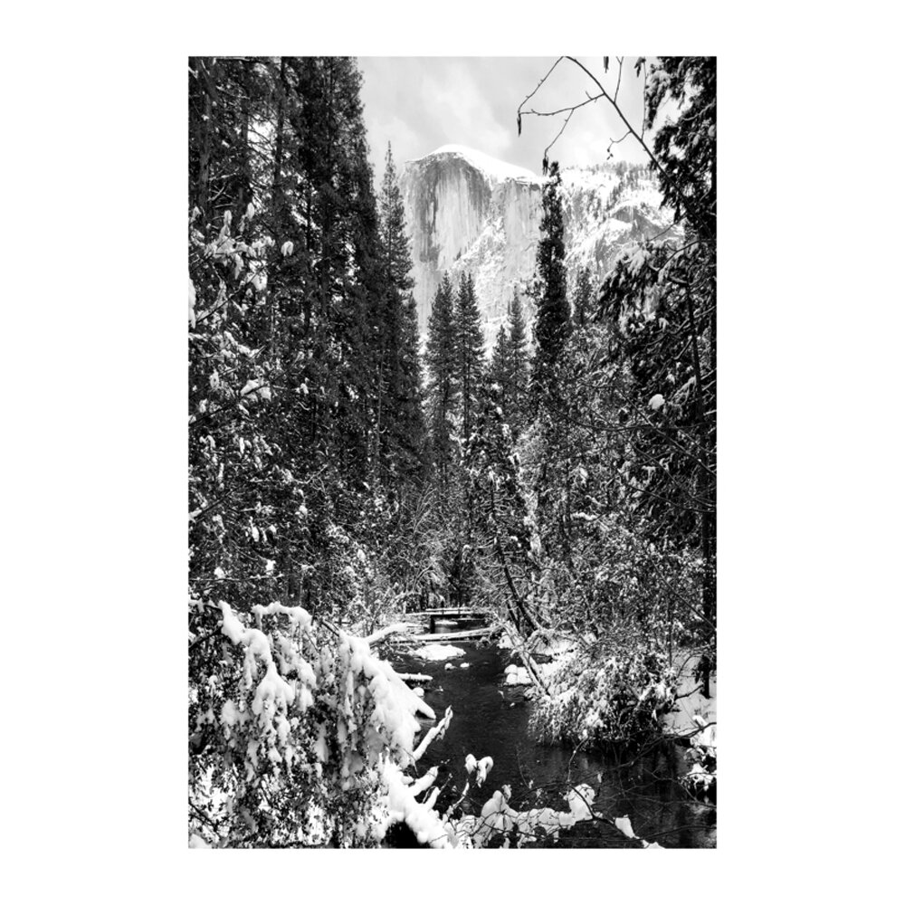 Yosemite  BY HOPE BAINBRIDGE