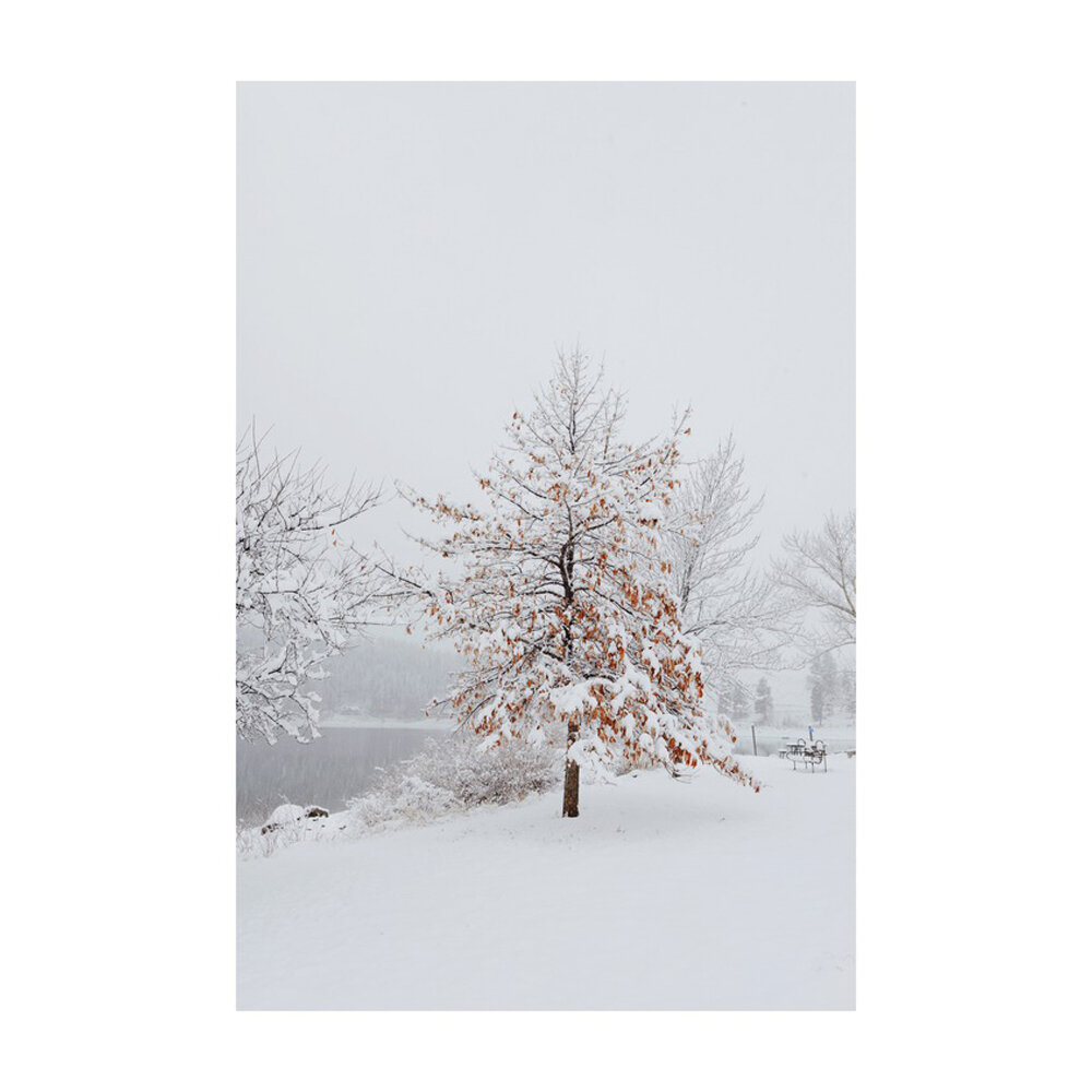 Winter Scene  BY LUCY SNOWE