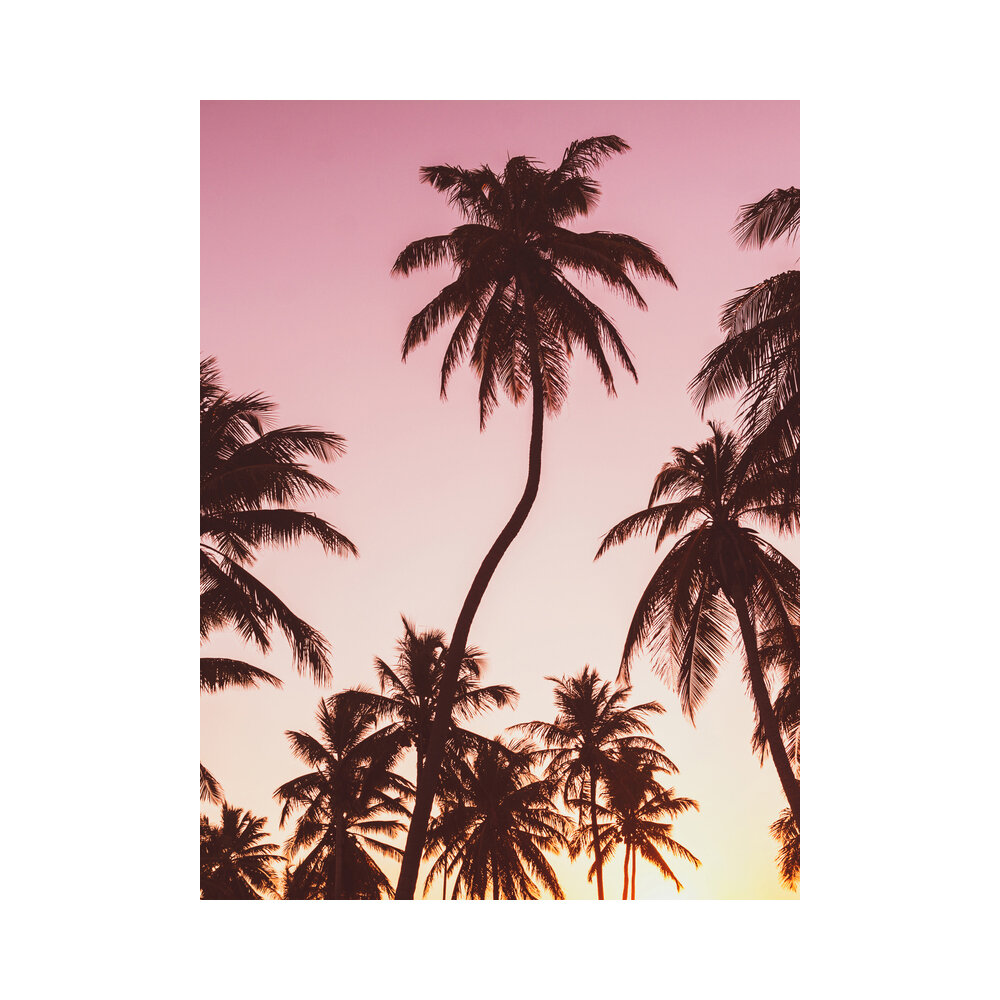 SUMMER PALMS  BY RENATO VAN RAY