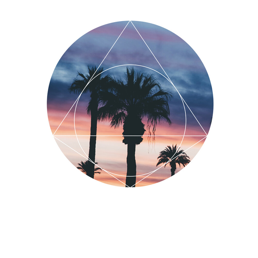 Sunset Palms - Geometric Photography  BY EMILIANO DEIFICUS