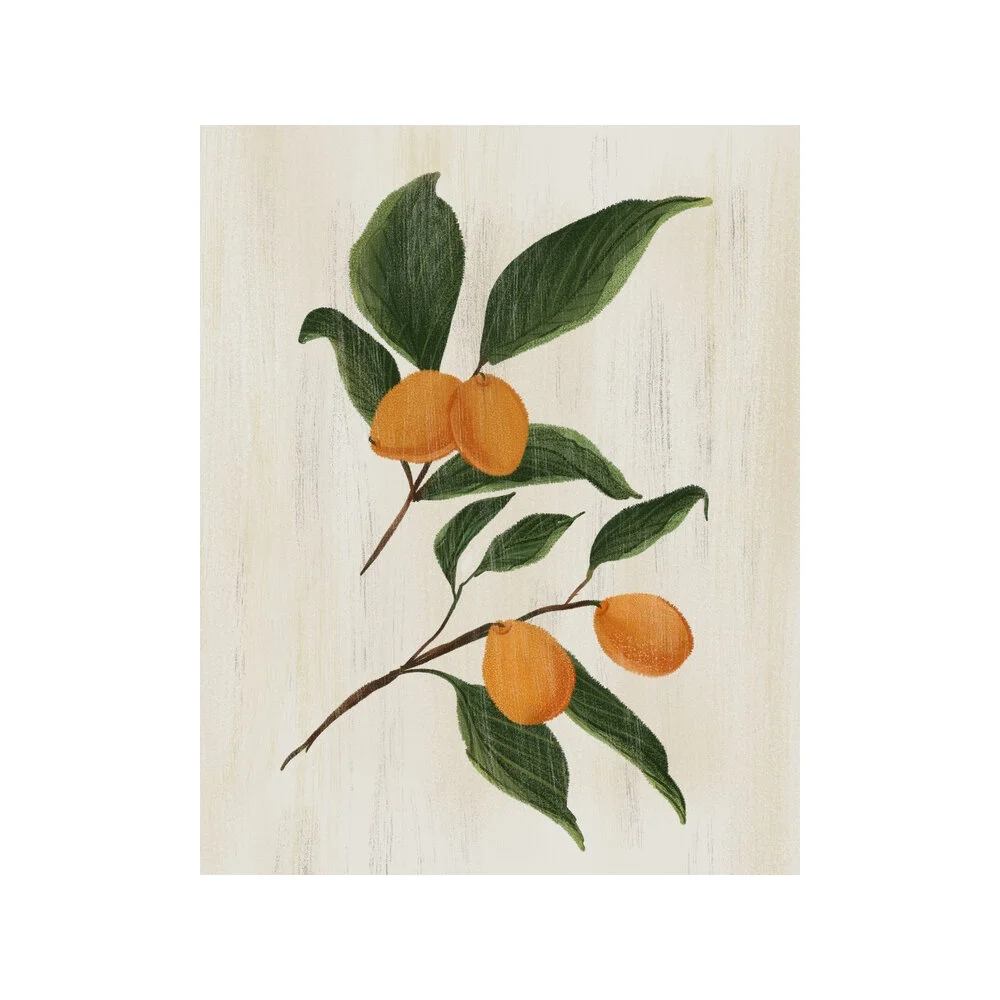 Faded Kumquats  BY NANCY NORETH