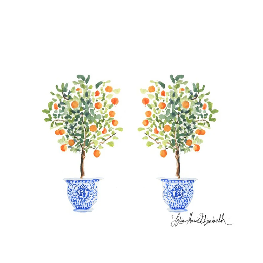 Twinning Orange Trees  BY LYDIA MARIE ELIZABETH
