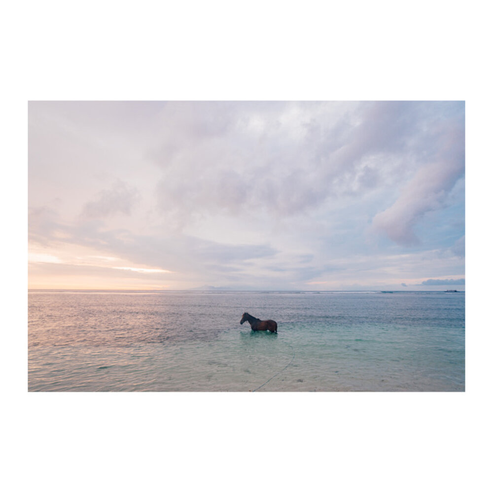 Gili Island Horse at Sunset  BY CARLEY RUDD