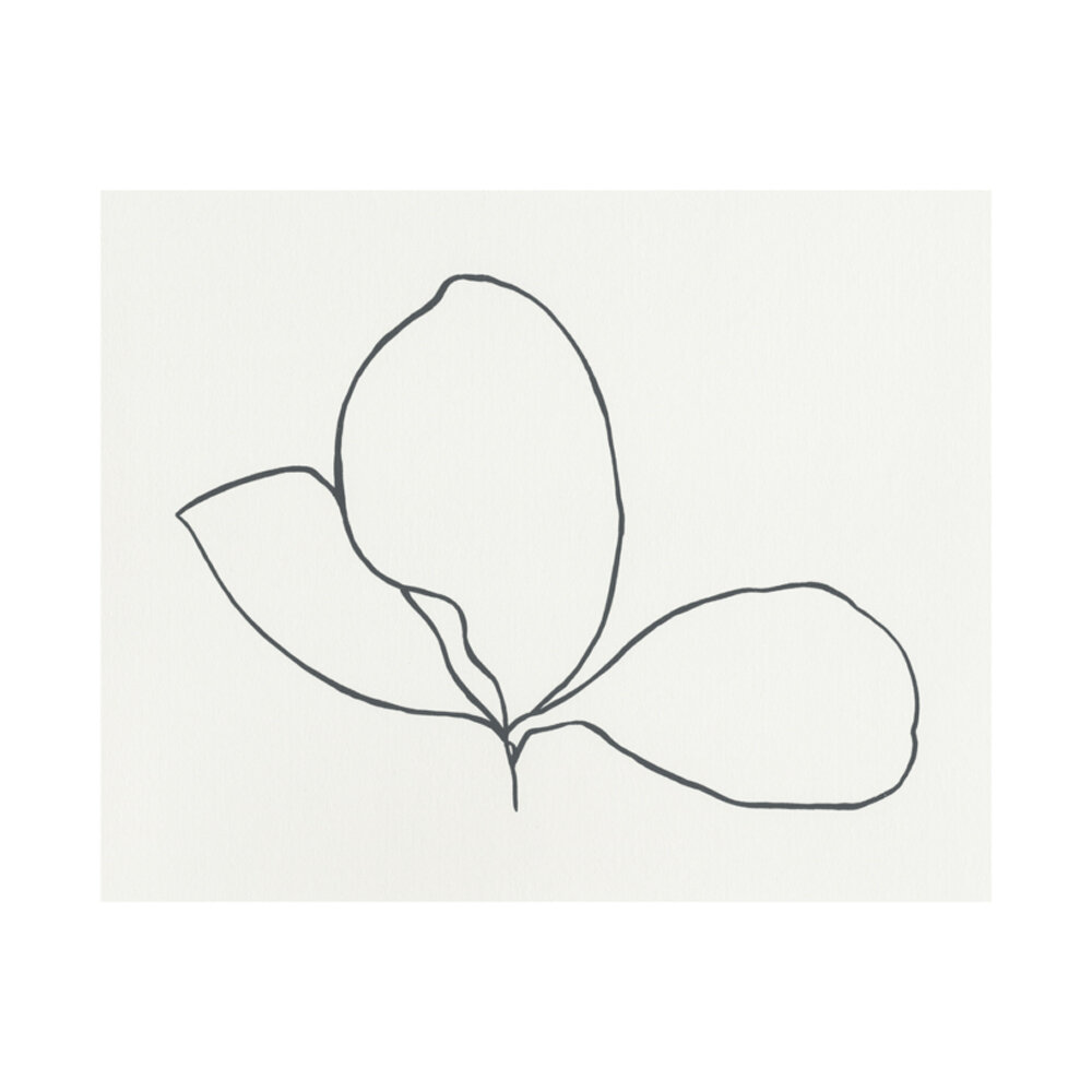 Inspired By | Ellsworth Kelly Plant Drawings — THE ARTFUL REVIEW