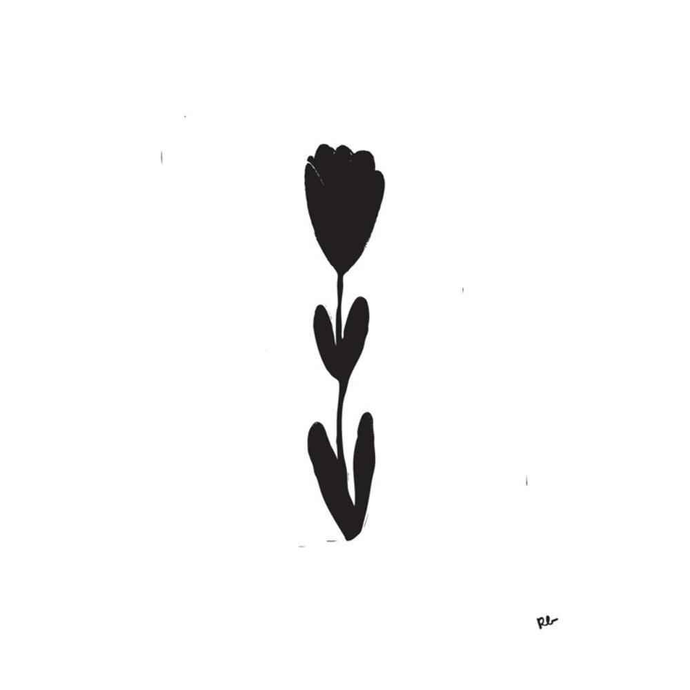 Tulip Stem  BY ROB BLACKARD