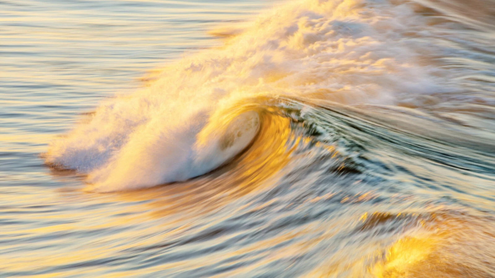 Surf Riders