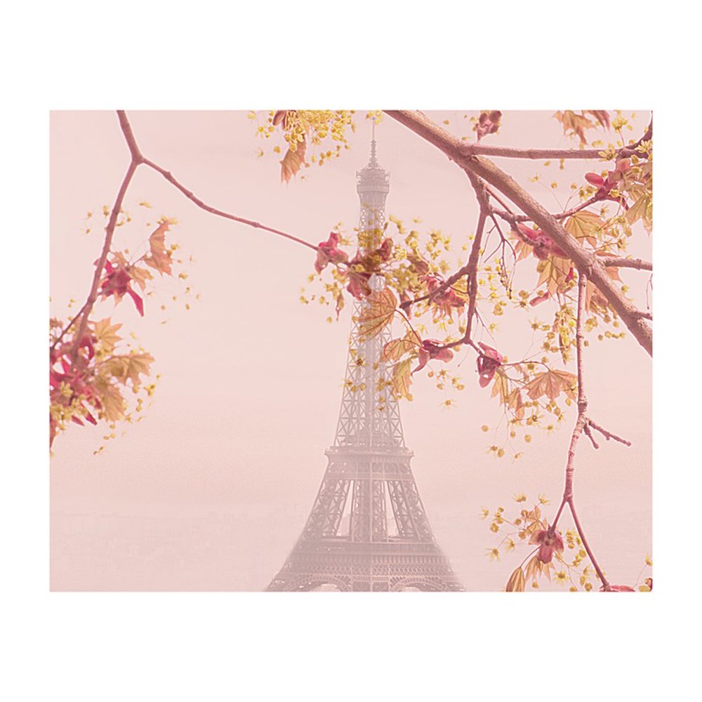 Springtime in Paris  BY KERI BEVAN
