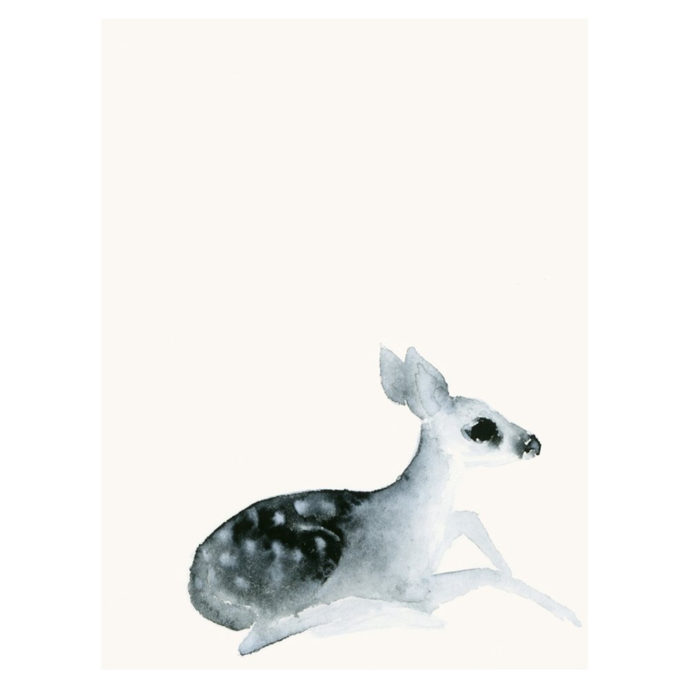 Resting Ghost Fawn BY CATHERINA TURK
