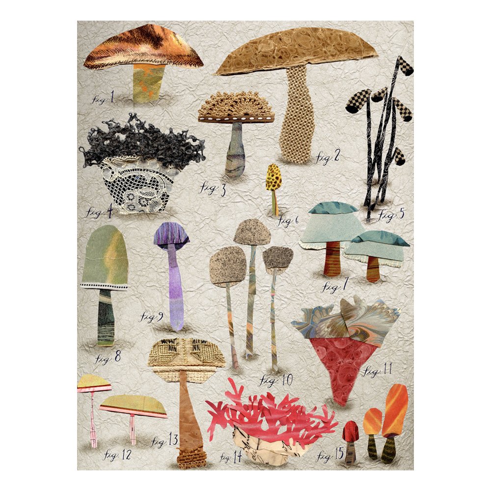Mushrooms 1 by SUSAN FARRINGTON